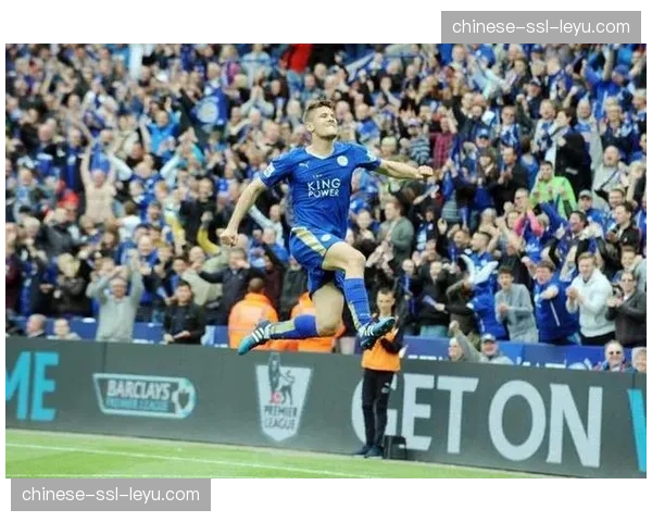 关键瞬间：霍芬海姆门将神扑后迅速手抛球发动反击，5秒内形成射门